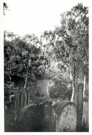Hemsbach, HD; Jüdischer Friedhof, Gräber