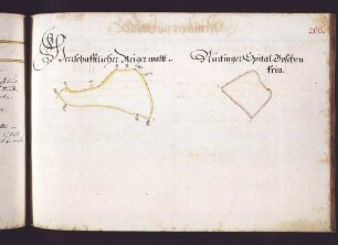 Dettinger Hut: Herrschaftlicher Reigerwald; Nürtinger Spitalboschenrain