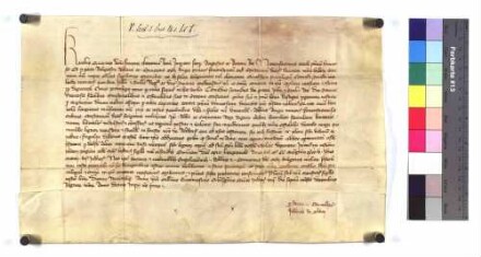 Kaiser Karl bestätigt dem Abt und Konvent des Klosters Weißenau das Privileg Konrads II., König von Jerusalem und Sizilien und Herzog von Schwaben von 1264 März 11.