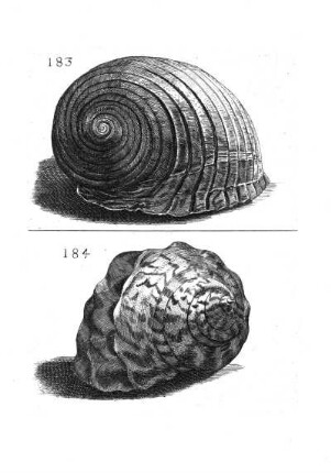 183. - 184.