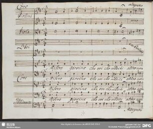 Coro: Misero giovine che vuoi che mediti