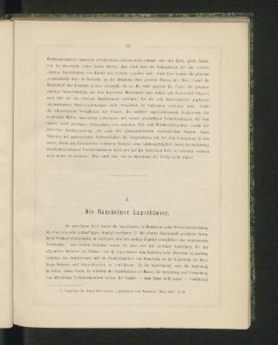 II. Die Mannheimer Lagerhäuser.