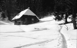 Hinterzarten: Haus am Wald