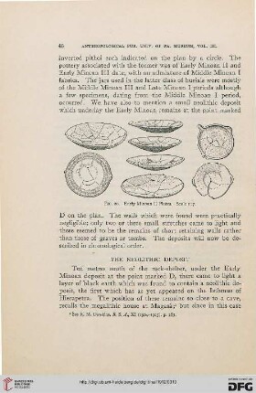 The neolithic deposit