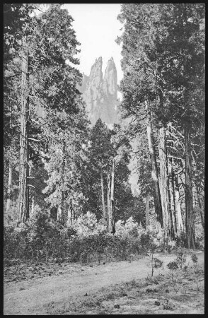 Yosemite. Distant View of Cathedral Spires, Yosemite, Cal.