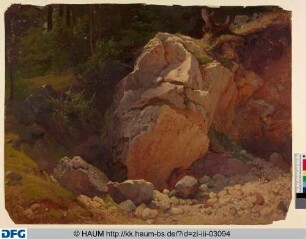 Felsen an einem Waldrand
