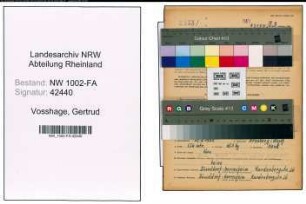 Entnazifizierung Gertrud Vosshage, geb. 29.05.1905 (Kauffrau)