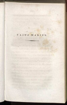 Cajus Marius.