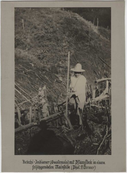 Kekchi Indians (Guatemala) with a planting stick in a freshly cleared maize field