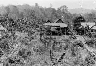 Pfahlbau (Deutsche Ostasien-Expedition 1937/1939)