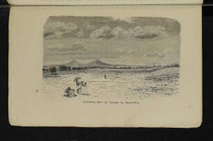 Opérations dans les Savanes du Bernardino.