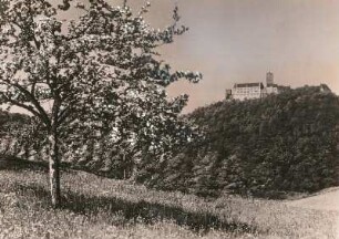 Wartburg : Eisenach. Die Wartburg im Frühling