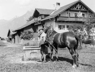 bei Pfronten, Tiere, Herde, Tränke