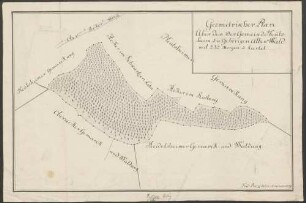 Geometrischer Plan über den der Gemeind Neubsheim zugehörigen alten Wald ...
