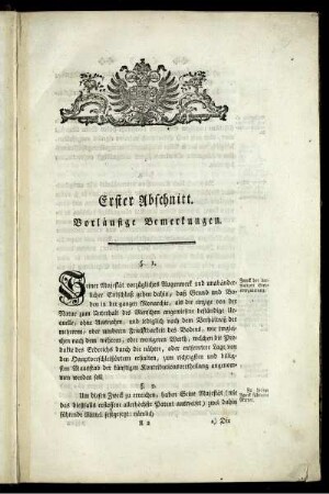 Erster Abschnitt. Vorläufige Bemerkungen.