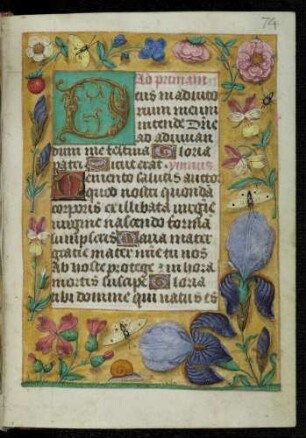 Initialzierseite (Prim): D(eus in adiutorum meum); Trompe l'oeil-Rahmen mit Blütenzweigen und Insekten