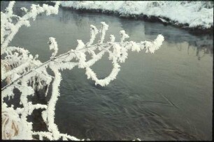 Winter am Moosbach