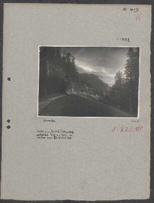 Bau der Waldbahn Carici - Judamare zum Sägewerk Nucet bei Targovistea: Blick von Spazierweg Schloß Peles - Busteni gegen den Caraiman