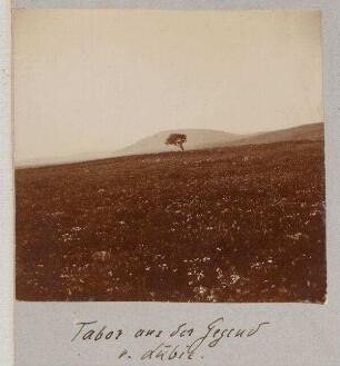 Tabor aus der Gegend v. Lubie.