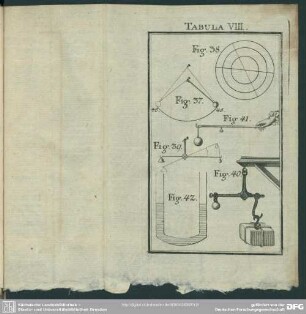 Tabula VIII