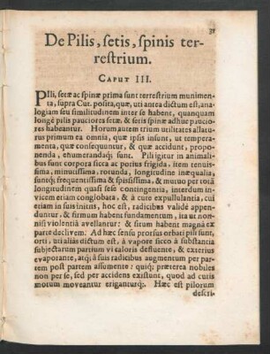 De Pilis, setis, spinis terrestrium. Caput III.