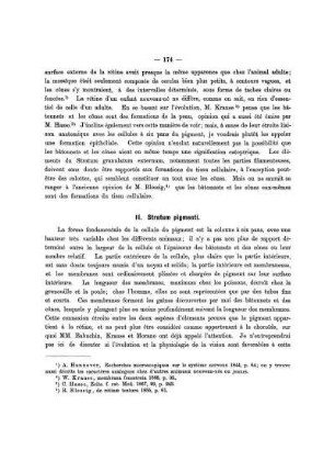 11. Stratum pigmenti.