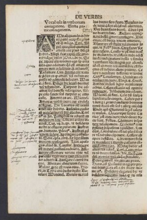 Vocabula in verborum coniugatione ...