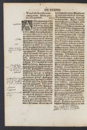 Vocabula in verborum coniugatione ...
