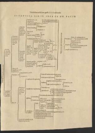 Synoptica Lib. IV. Idea Ex Dn. Pacio