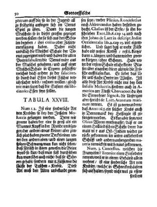 Tabula XXVIII.