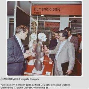 Interscola 1988
