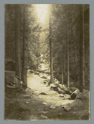 An der Steinernen Renne