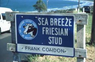 The Frisian Cattle Club of Australia