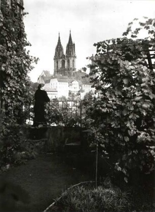 Meißen. Blick vom Hausgarten der Freiheit gegen die Domtürme