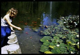Insel Mainau: Seerosenteich, Mädchen füttert Goldfische