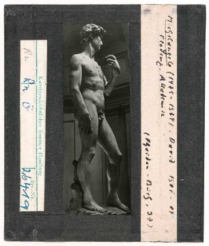 Michelangelo: David. Florenz, Akademie