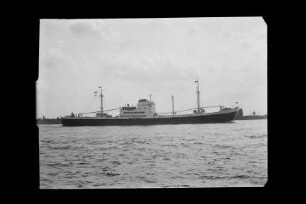 Babitonga (1953), Frachtschiff, HSDG, Hamburg, Bau-Nr. 449