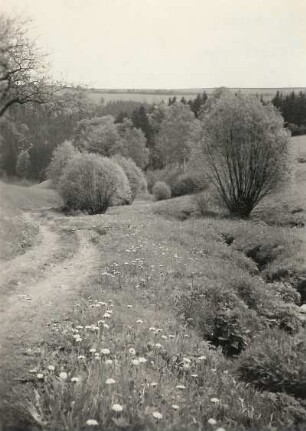 Trebnitzbachtal bei Börnchen süd-südöstlich Glashütte