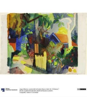 Landschaft mit hellem Baum