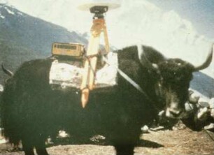 GPS auf einem Yak
