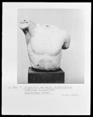 Männlicher Torso