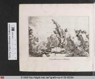 Cyparissus puer in arborem. [Kyparissos beweint den toten Hirschen]