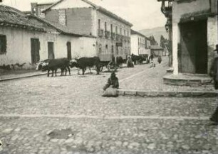 Straße in Rio Bamba