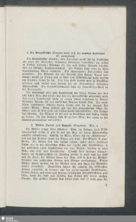 2. Weiden (Salix) und Pappeln (Populus)