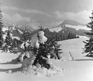 Winter im Allgäu, beim Sonthofer Hof