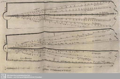 Lines Fundamentalis.