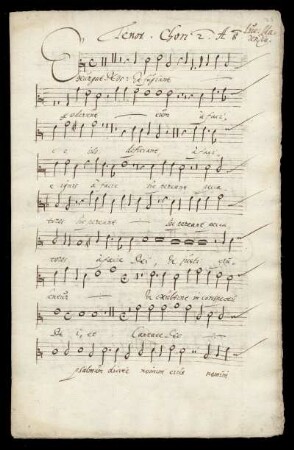 Tenor Chori 2