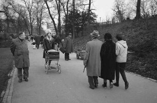 Spaziergang im Stadtgarten.
