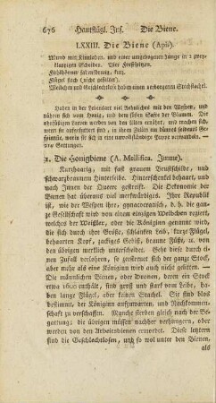 LXXIII. Die Biene