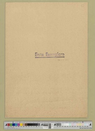 Sitzungsprotokolle, Richtlinien, Manifest und Aufrufe des Zentralrates der Arbeiter- und Soldatenräte der Ostfront und der Ostprovinzen (Der große Soldatenrat Kowno)